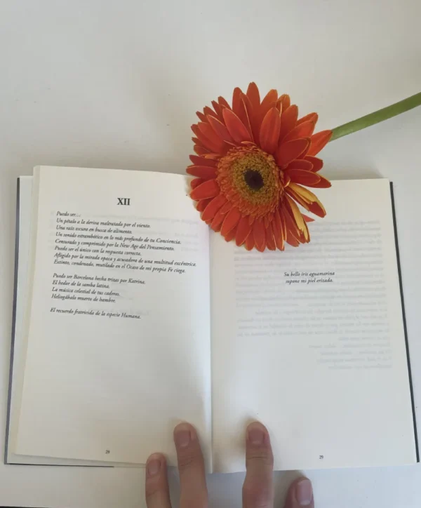 Libro abierto 2