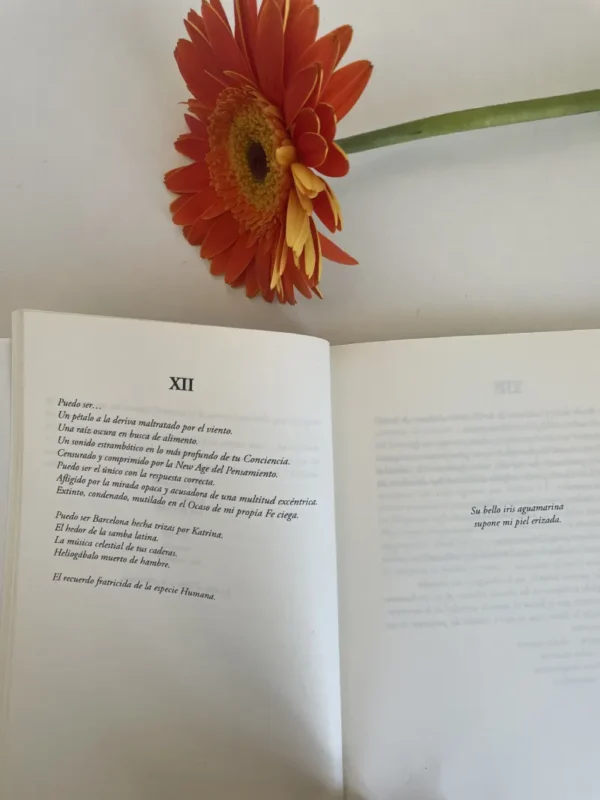 Libro abierto 3