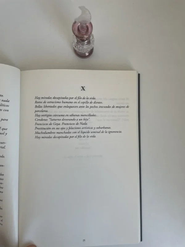 Libro abierto 4