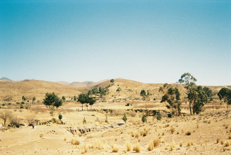 Bolivia Oasis