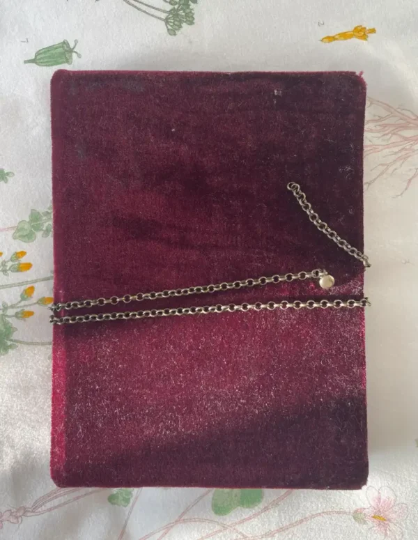 Libreta Ash frente