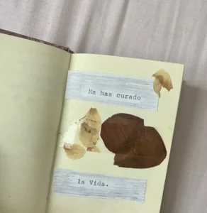 Cúrame la vida