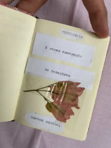 Nuevos mundos